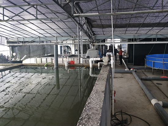 塑料助劑生產廢水處理方法有哪些？