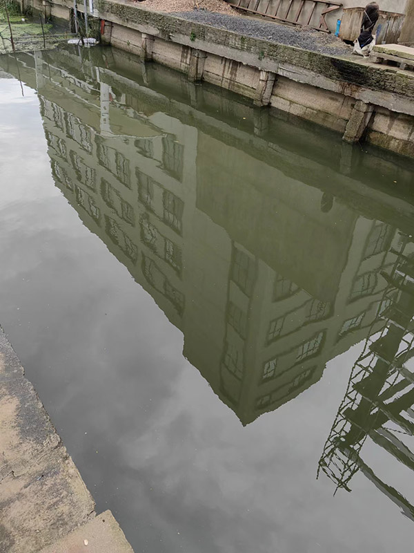 木材加工污水處理有哪些？