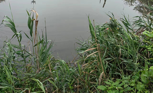 用膜技術方法處理餐廚垃圾的工藝流程?
