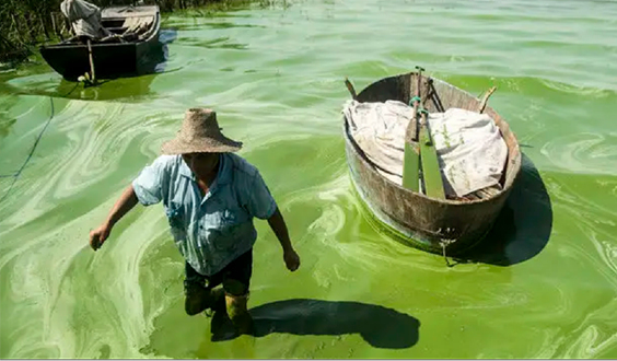 傳統養殖方式與未來高效養殖方式的區別