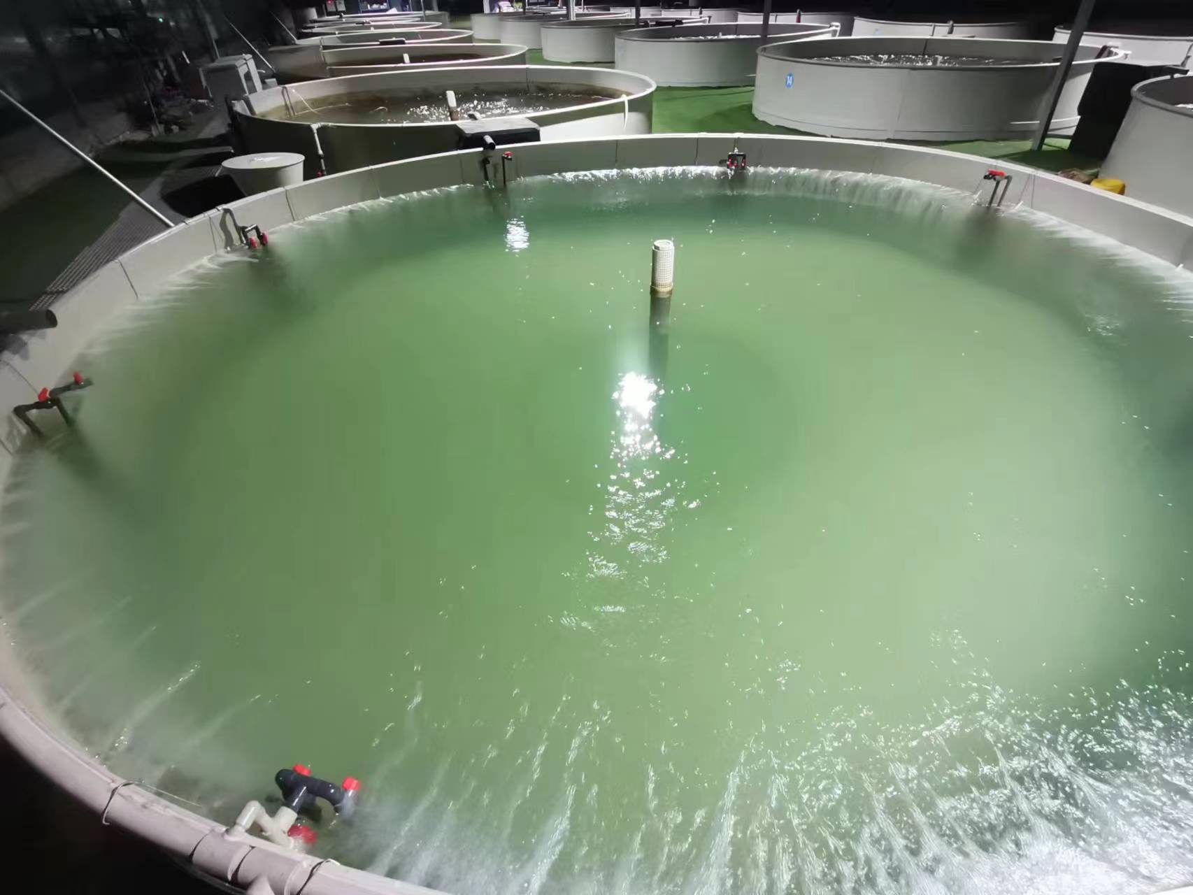 池塘養(yǎng)殖廢水處理工程