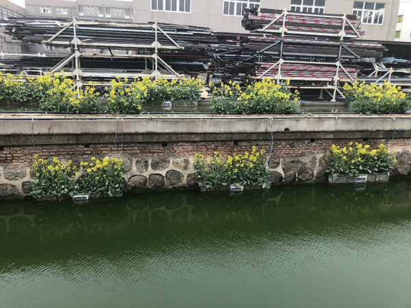 mbr膜應(yīng)用河道治理方法