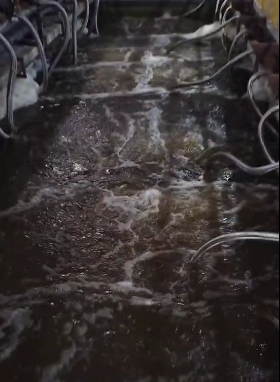 經過mbr的水還是有濁度原因有哪些?