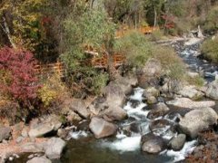 農村生活污水處理問題,農村污水處理未來發展趨