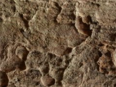 含油污水不處理會有什么危害