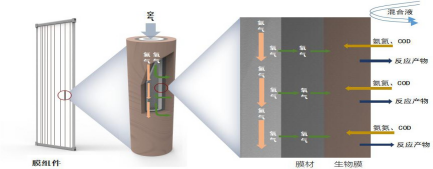 水產(chǎn)養(yǎng)殖尾水處理,IOSBR新技術突破