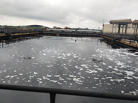 污水處理菌種是核心關鍵,哪一款合適做污水項目?