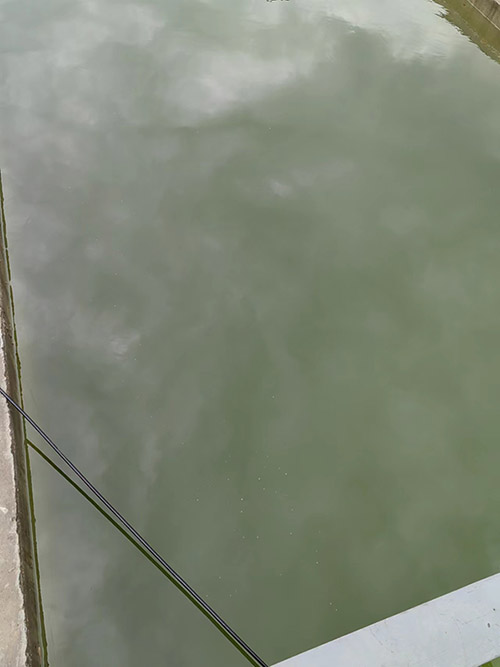 氨氮廢水處理方法有哪些？